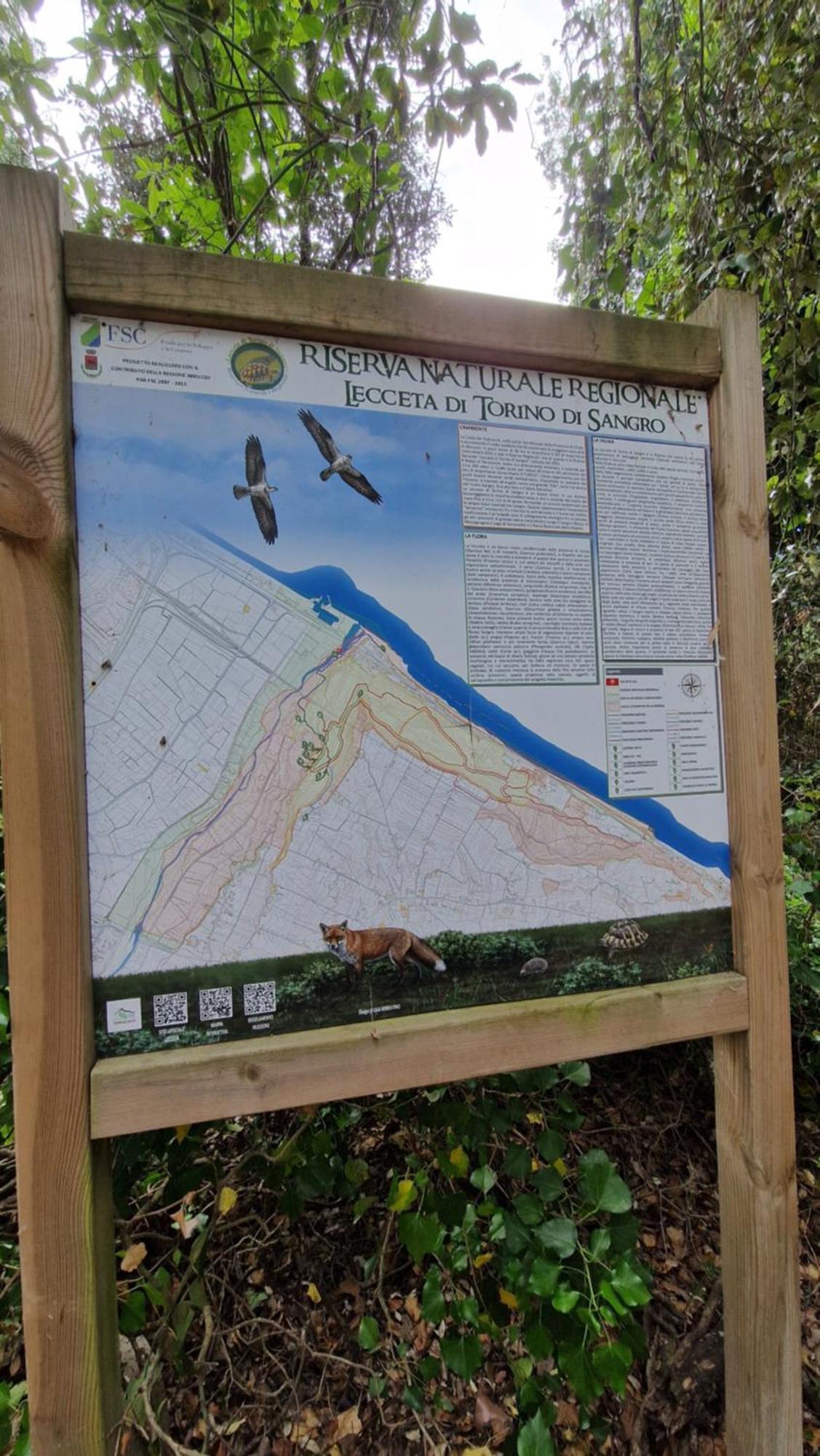 L'Apostolo E Il Navarca Villa Ortona Exteriör bild